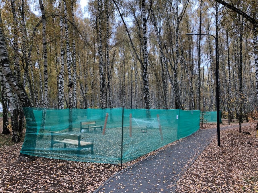 Сквер вид сверху