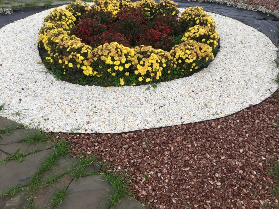 Клумба с гравийной отсыпкой