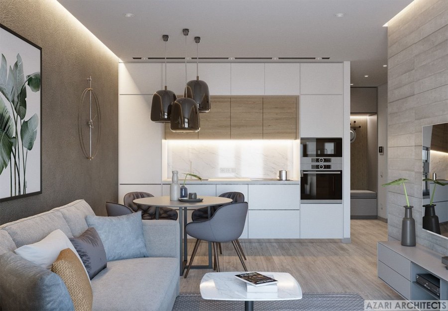 Кухня-гостиная 20 кв.м евродвушка