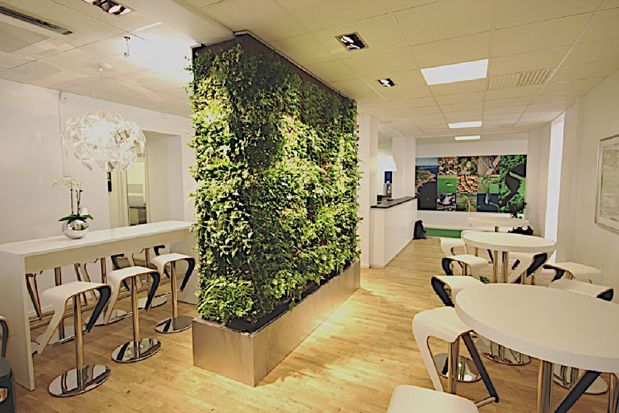 Перегородки для зонирования с растениями