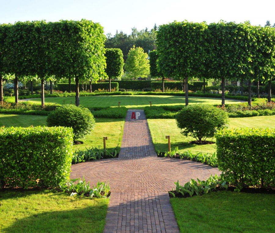 Il nature Ландшафтная компания Гривко