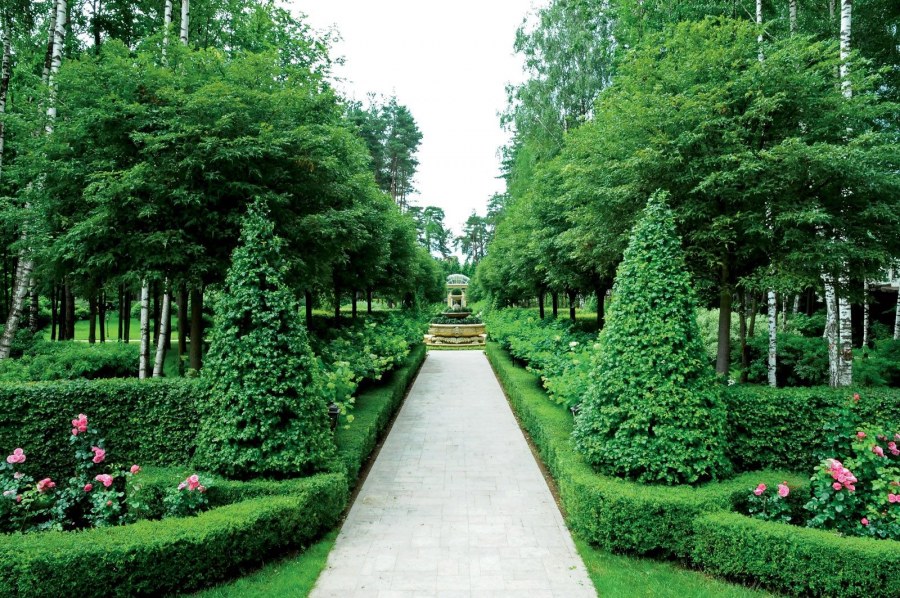 Ландшафтный Архитектор Александр Гривко