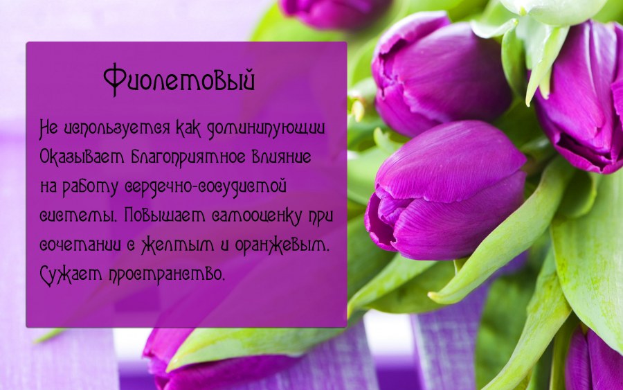 Фиолетвыйцвет в психологии