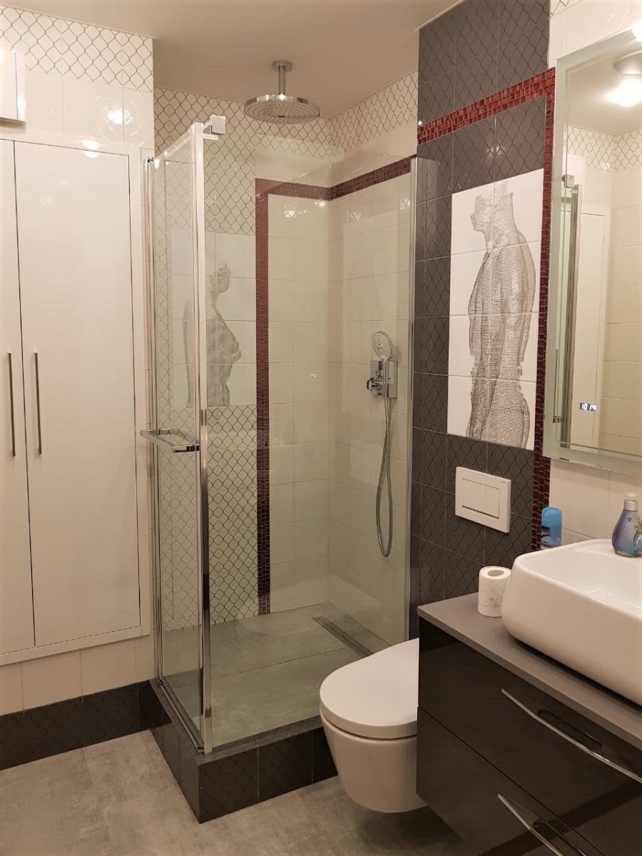 Совместный санузел с душевой