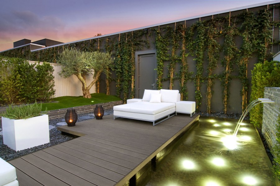 Живое дерево на террасе