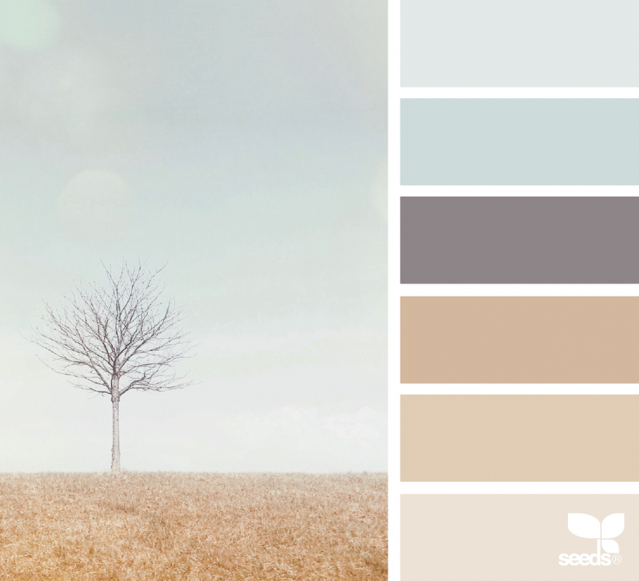 Цветовые сочетания в интерьере