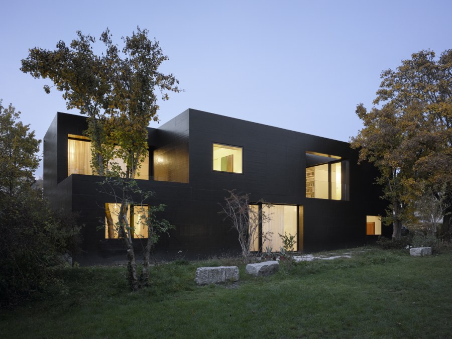 Funhouse датские дома