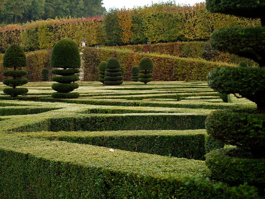 Топиарное искусство Версаль Франция