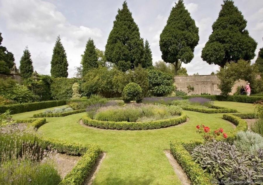 Боскет королевы Версаль