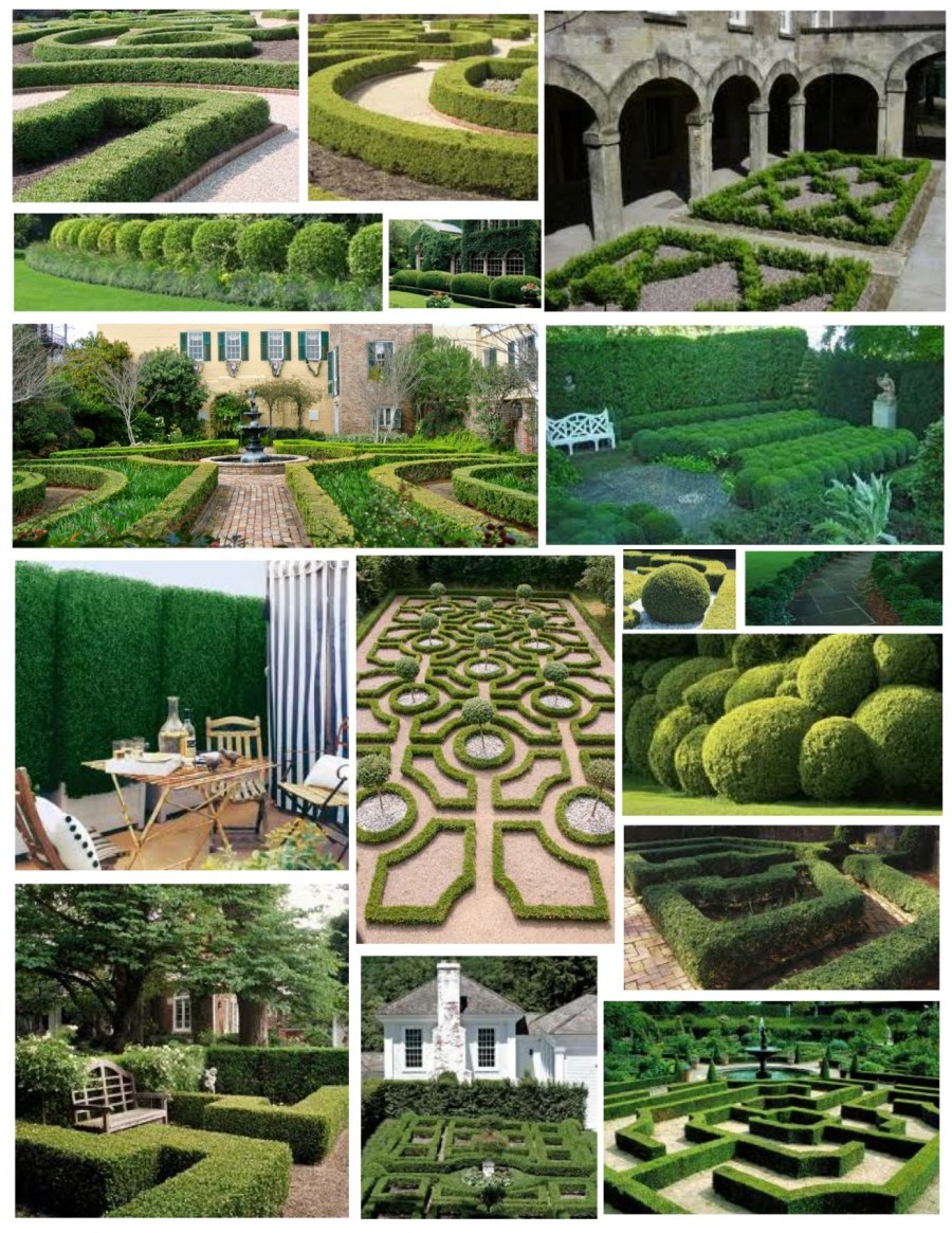 Прованский сад в регулярном стиле план