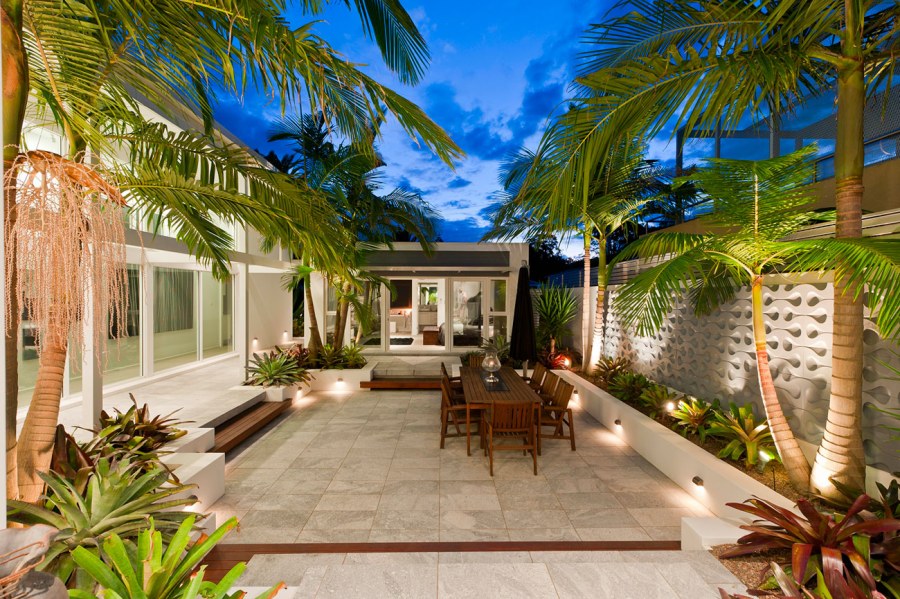 Пальма во дворе