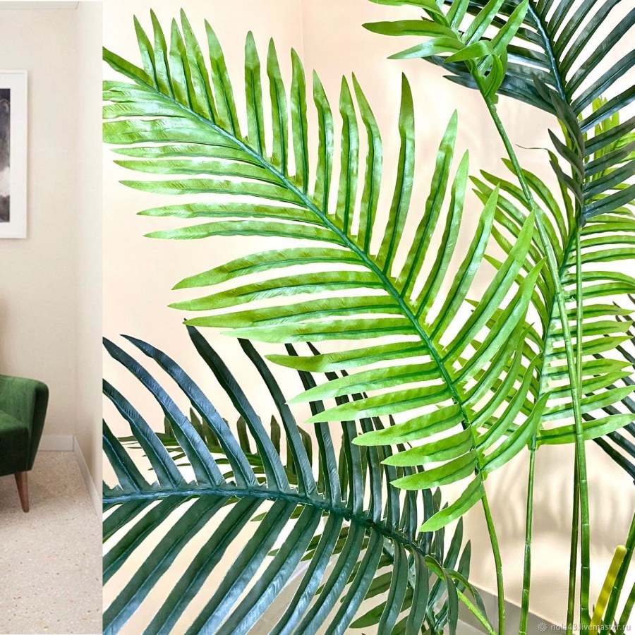 Растение в горшке PNG