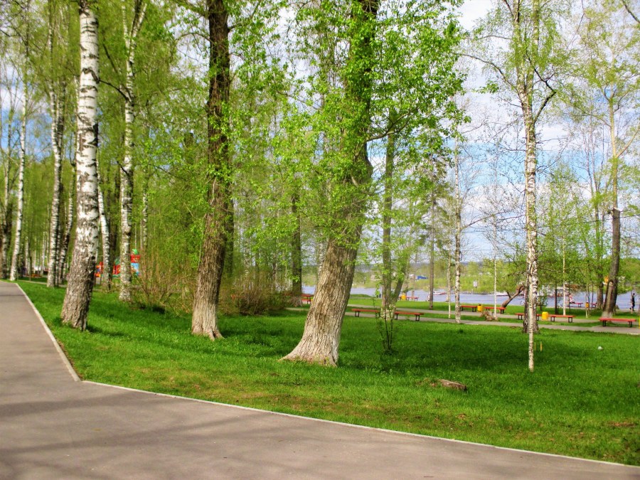 Благоустройство аллеи концепция