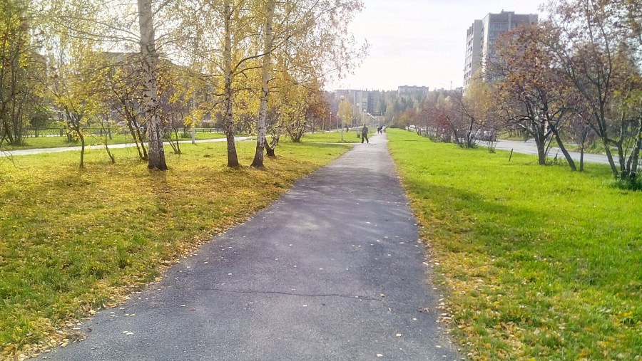 Пролетарский район парк аллея Ростов