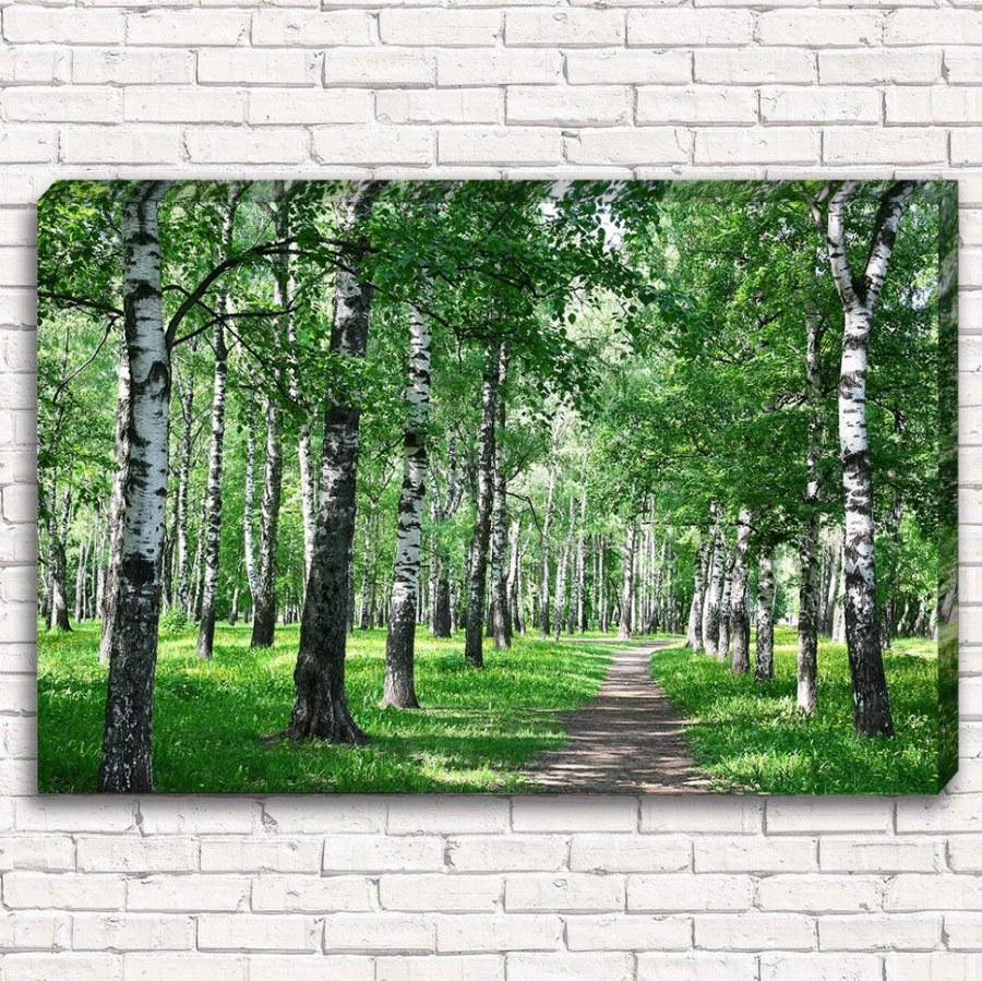 Модульная картина Березовая роща