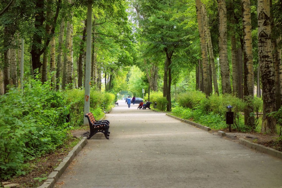Парк Кусково аллея