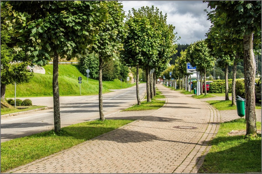 «Аллея в парке», 1912) . Климт
