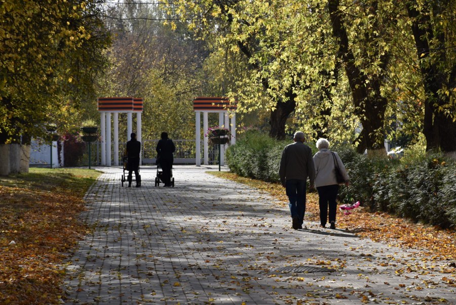 Белые аллеи летний Холл