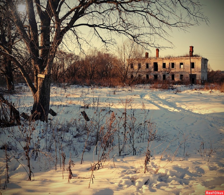 Усадьба Авдотьино (Тихвинское)