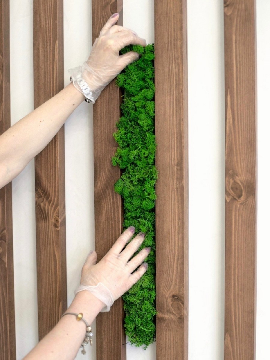 Рейки и мох в интерьере