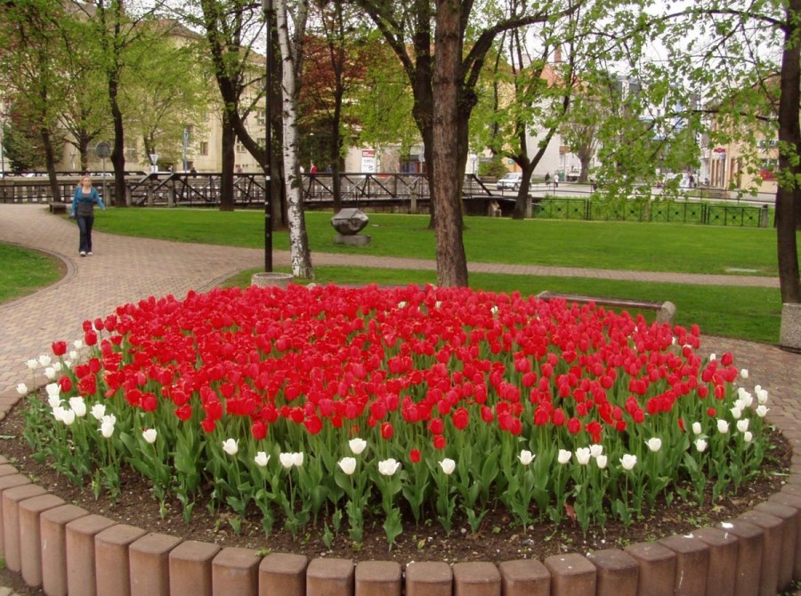 Круглая клумба