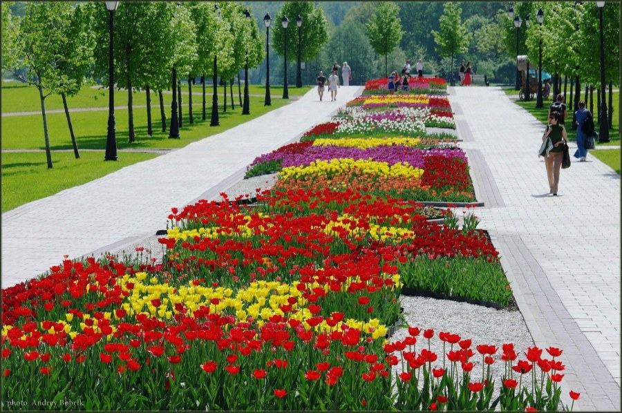 Парк Царицыно клумбы