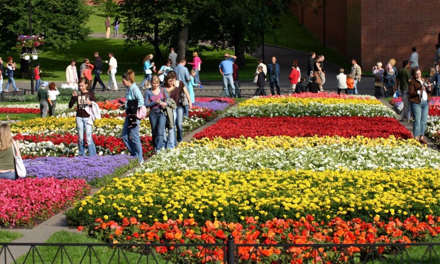 Клумбы цветной бульвар Тюмень