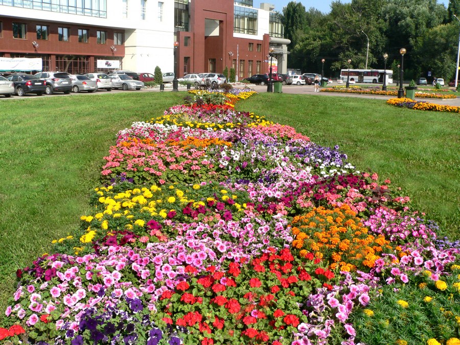 Воронеж Зеленхоз