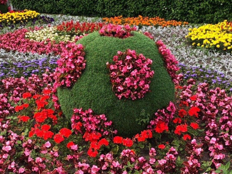 Клумба парк Победы Крестовский