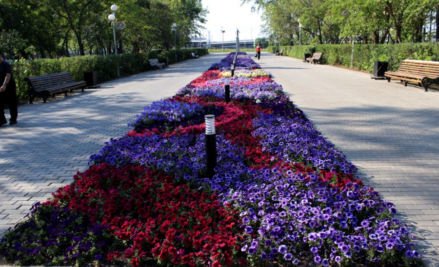 Клумба на улице