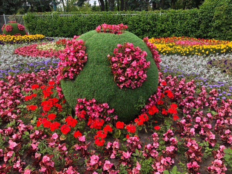 Клумба парк Победы Крестовский