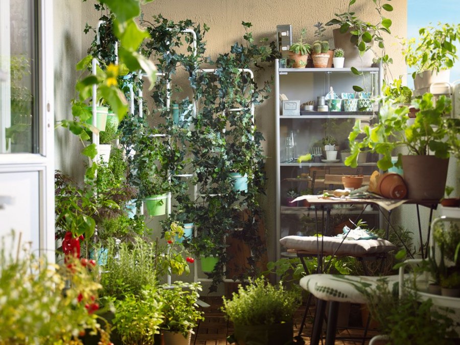 Террариум в интерьере квартиры