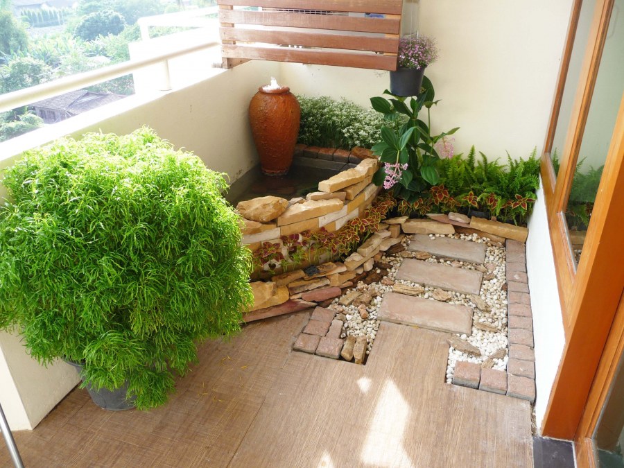 Зимний сад тропики