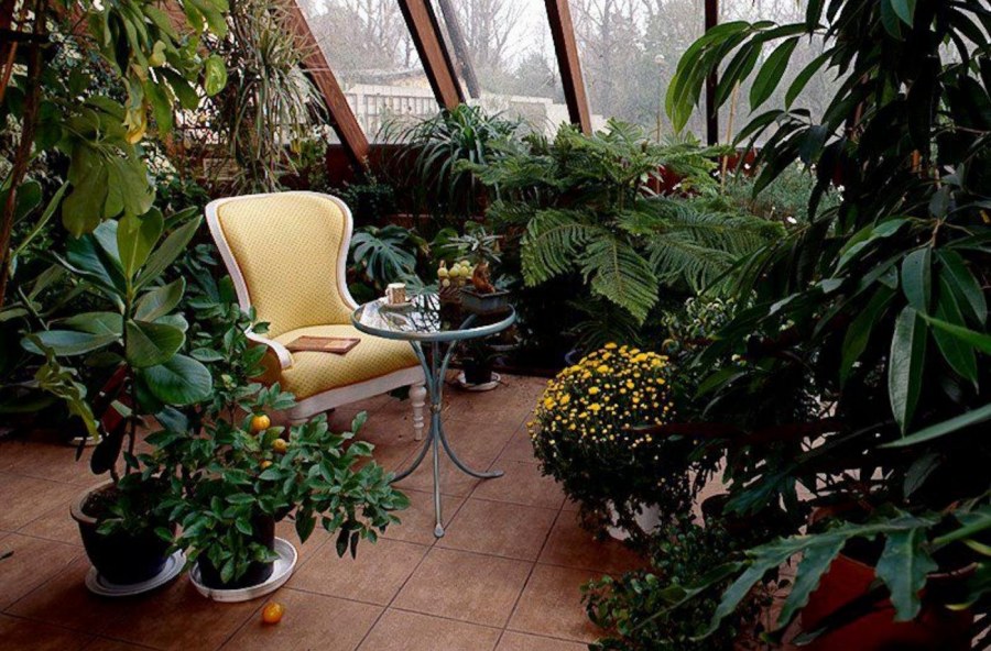 Интерьер зимнего сада