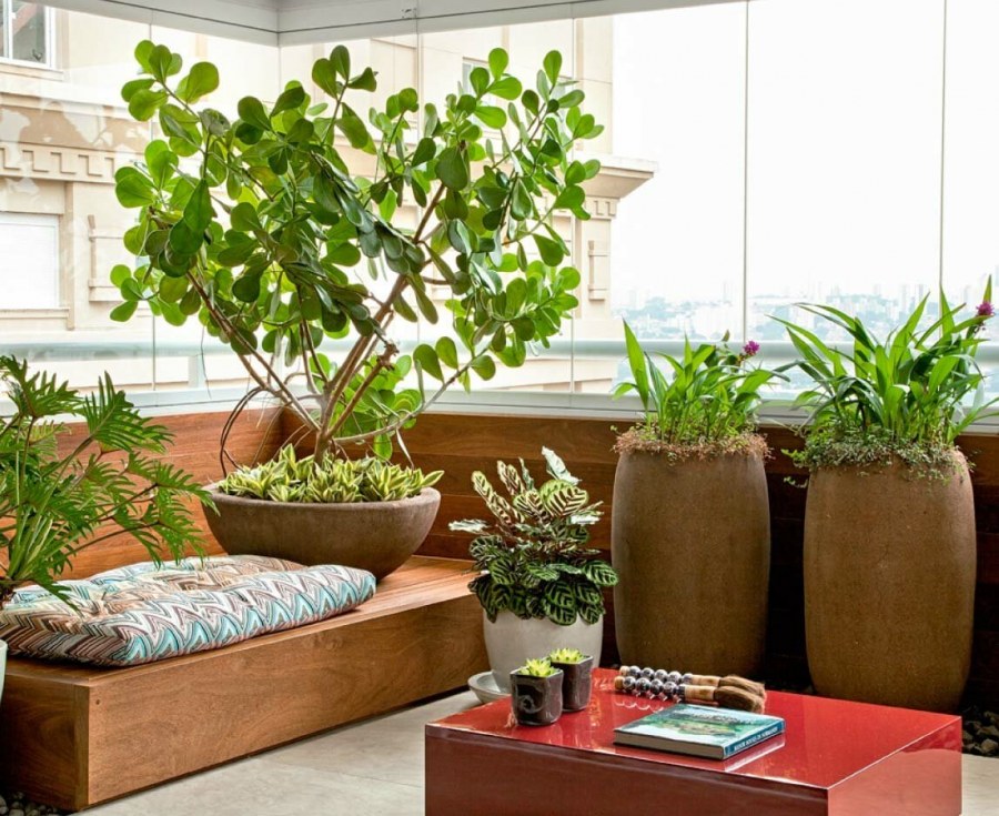 Живые цветы в интерьере кухни