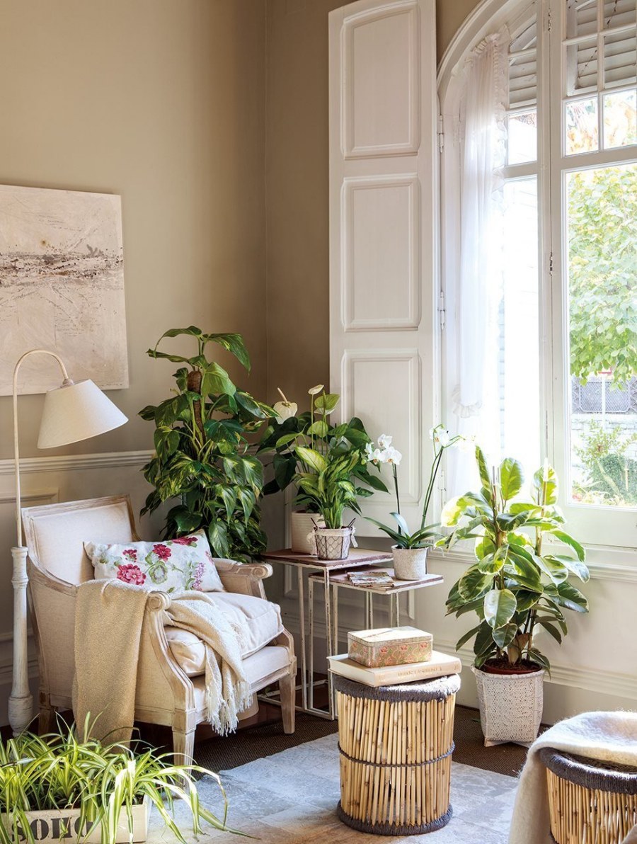 Цветы в интерьере квартиры