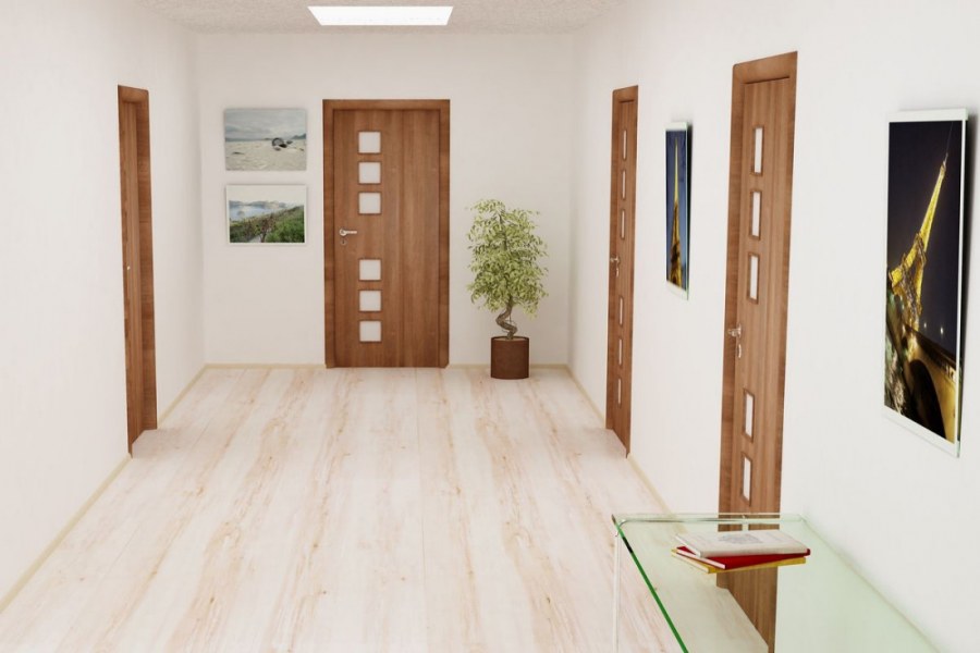 Сочетание ламината и дверей