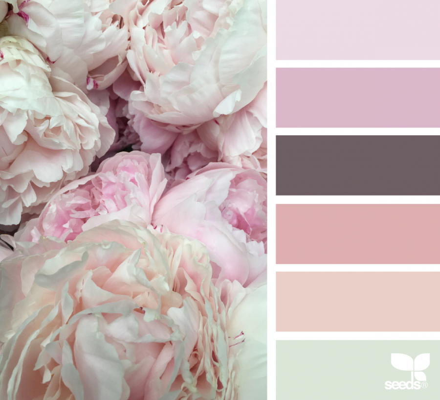 Сочетание пастельных цветов