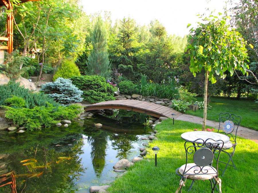 Азиатский парк в Куркино