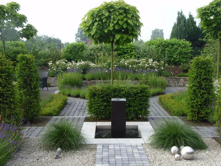 Солитер Ландшафтная архитектура