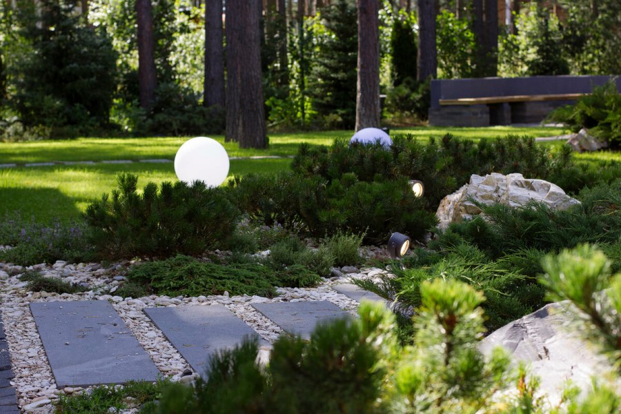 DEREVOPARK ландшафт