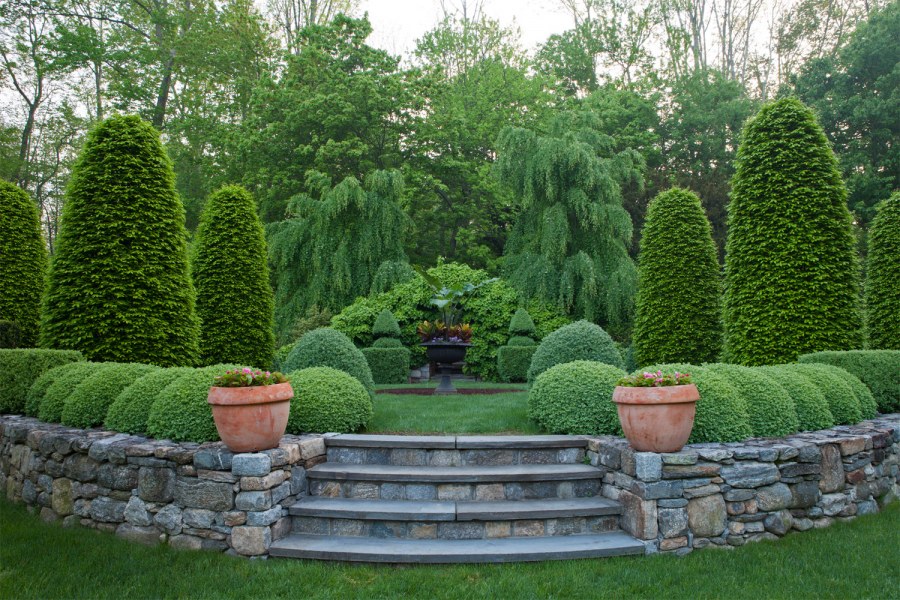 Пинарий хвойники