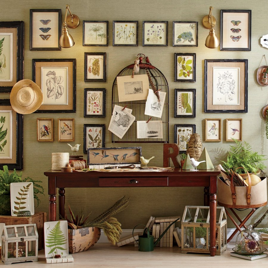 Гербарий на стене