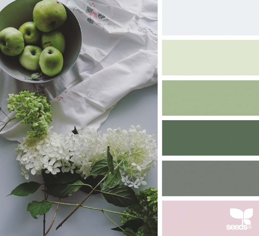 Фисташковая палитра