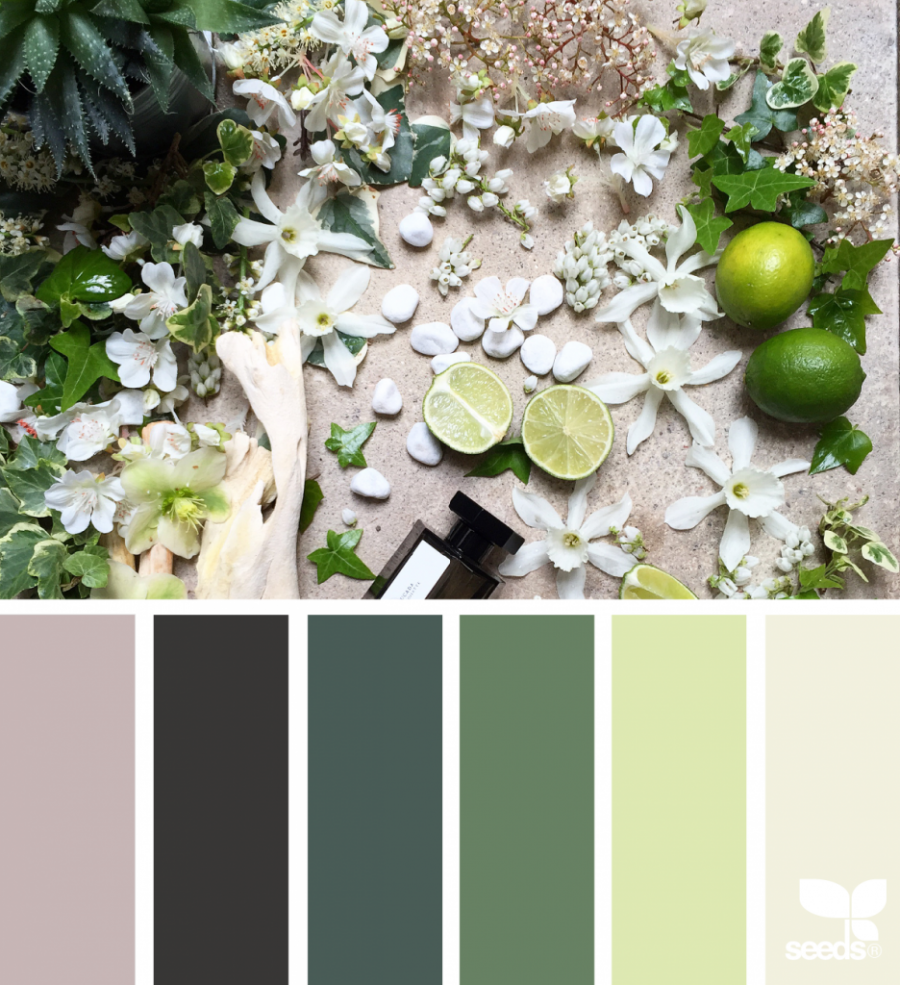 Seeds Color Palette изумрудный