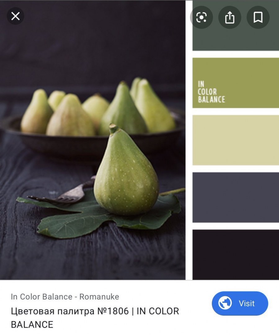 Цветовая палитра зеленый