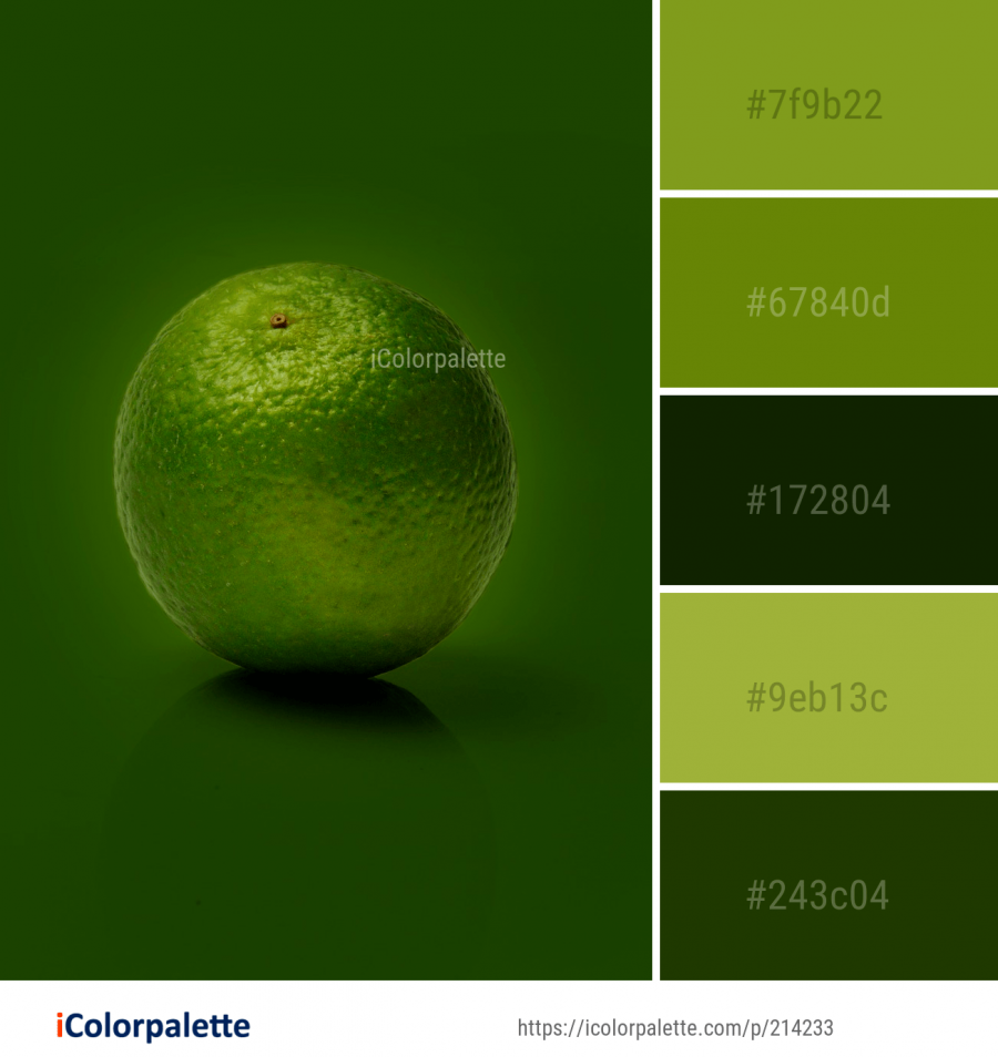 Цветовая палитра для интерьера