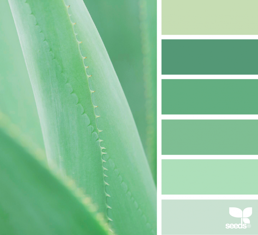 Оливковый цвет Бенджамин Мур