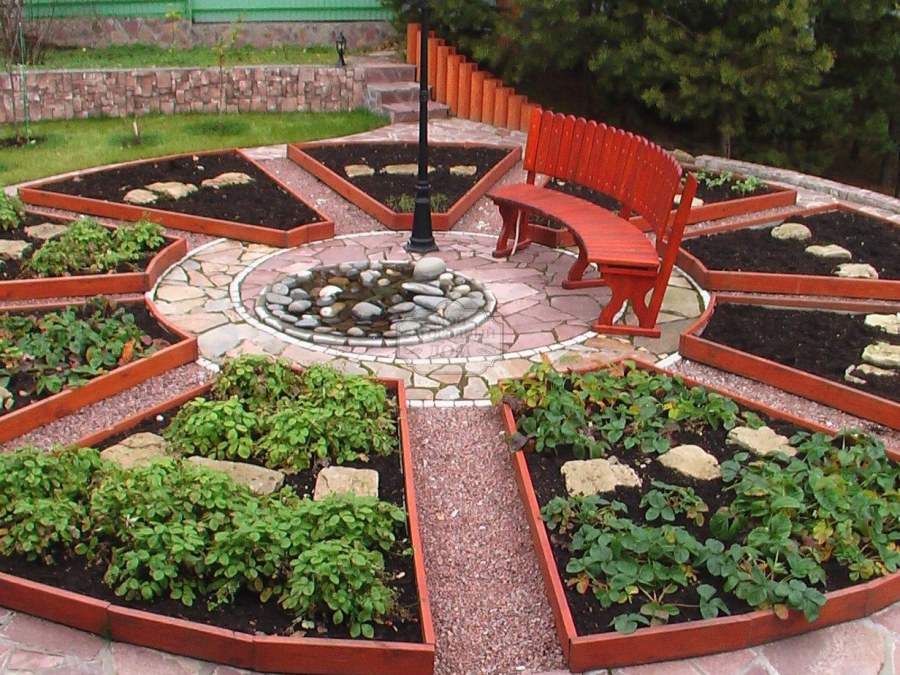 Декоративный огород в ландшафтном