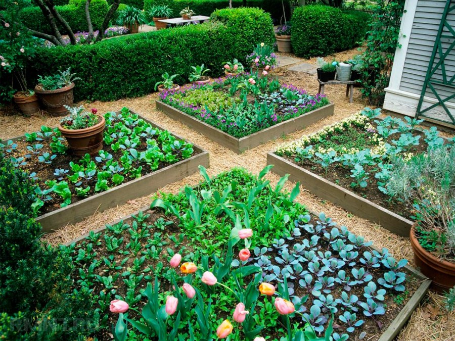 Сад огород Гарден